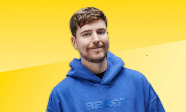 mr beast networth